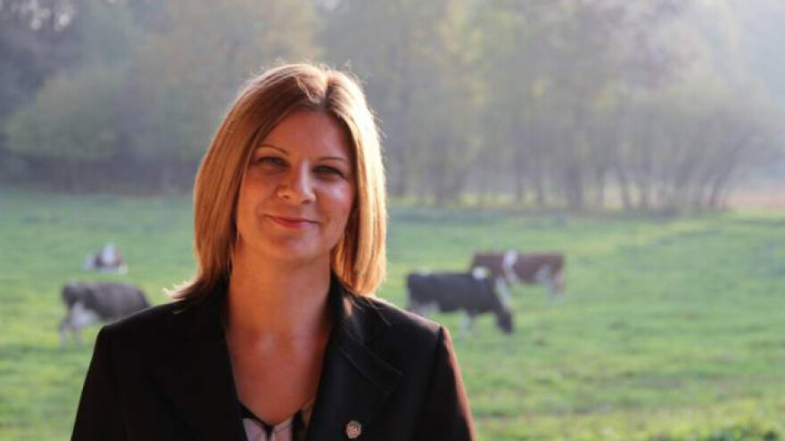 Petin: Učimo od najvećih izvoznika!