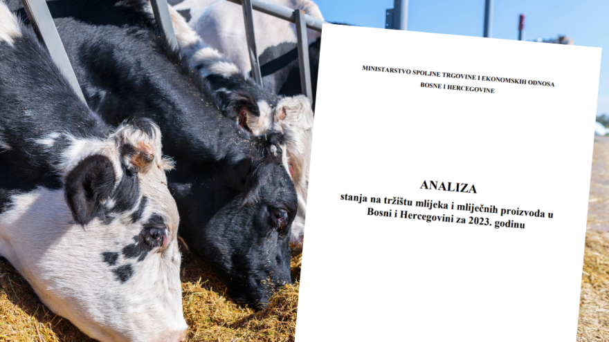 Hiljade bh. farmera proizvode mlijeko, 20 mljekara godišnje zgrne pola milijarde maraka