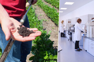Zašto je važna analiza tla? Koji laboratoriji i po kojoj cijeni rade taj posao?