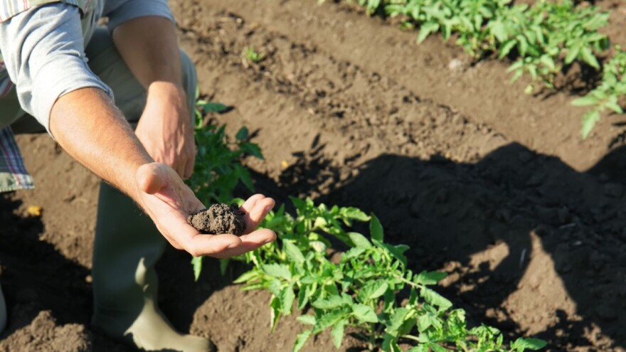 Važnost kemijske analize tla za potrebe đubrenja