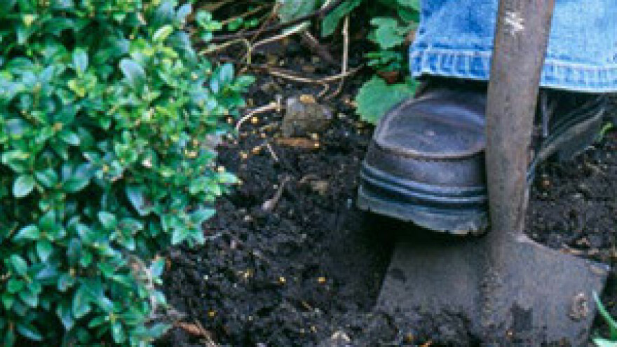 Važnost kemijske analize tla