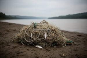 Anarhija u slatkovodnom ribarstvu