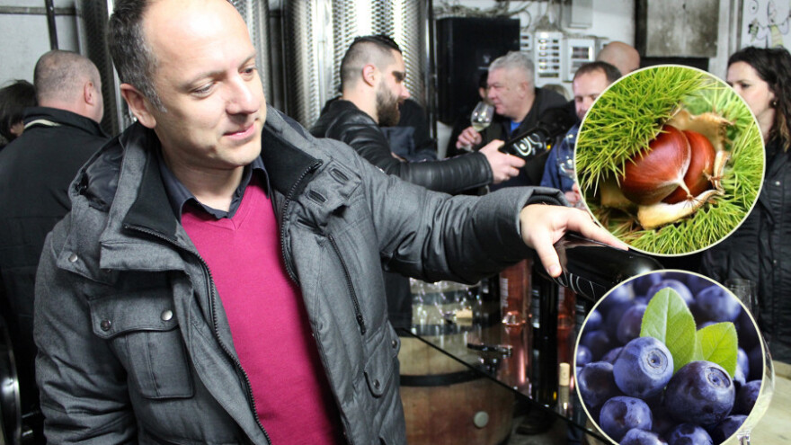 Kestenova šuma niknut će za mjesec dana podno Papuka