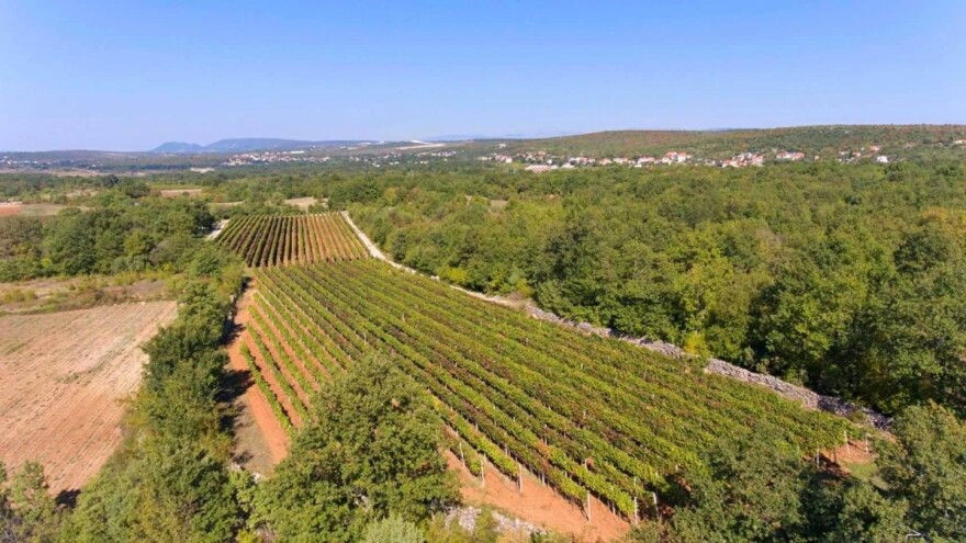 Što se krije iza šampionskog uspjeha vinara na Sabatini?