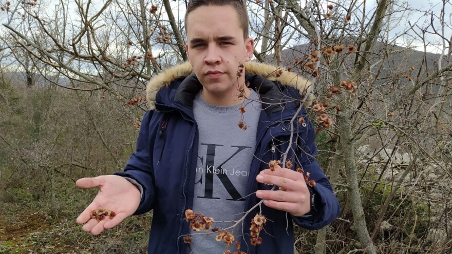 Od kad se bavi pčelarstvom Andrija više nema alergiju na pčele