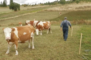 Anegdote iz života gorštaka