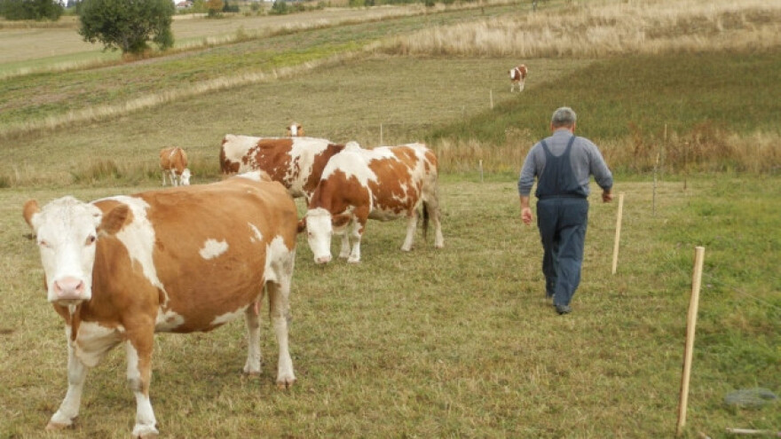 Anegdote iz života gorštaka
