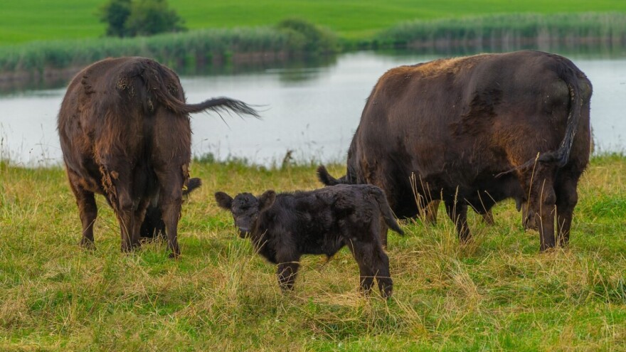 Objavili rang listu 10 odabranih prijava za projekt vrijedan 1.750.000 KM