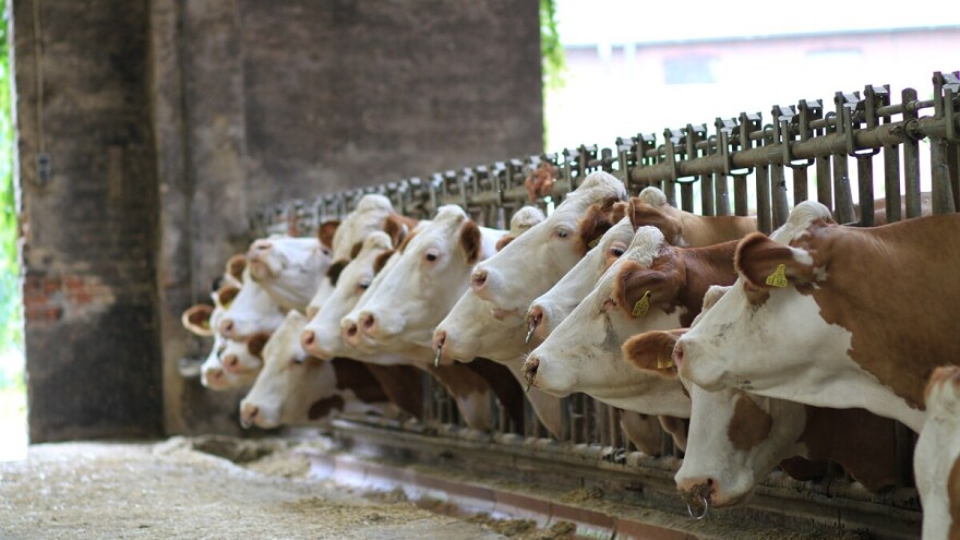 Prilika za povremeni posao: Traže mlade poljoprivredne inžinjere i ekonomiste