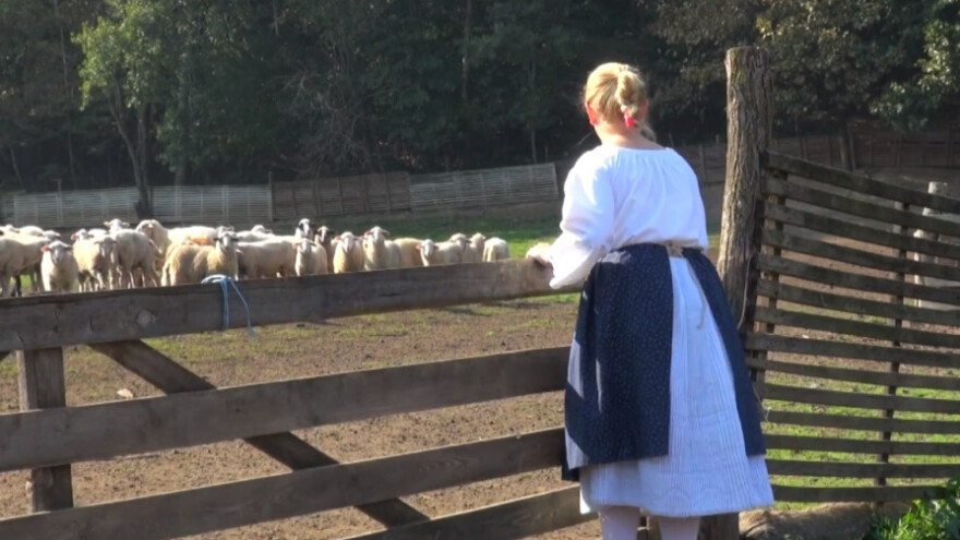 Anita Nekić: Na selu ste sam svoj gazda!