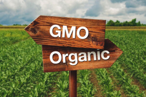 Većina protiv GMO, platili bi više za eko hranu
