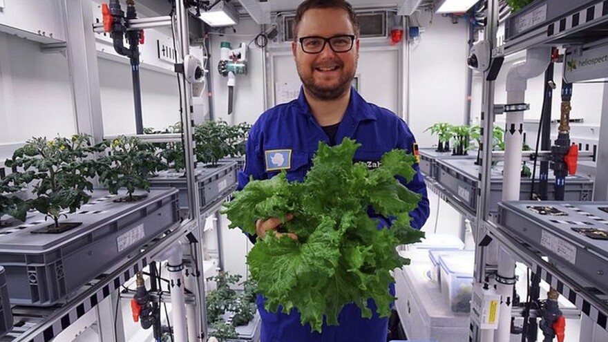 Naučnici ubrali prvo povrće iz staklenika na Antarktiku