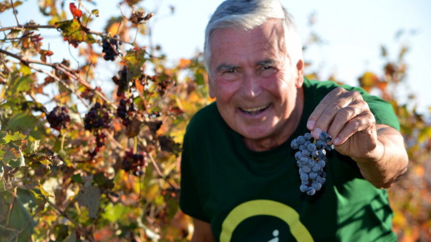 Država vinarima duguje spomeničku rentu