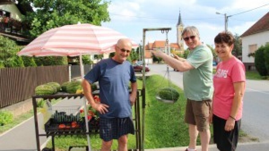 Slavonci sve više traže slatki krumpir