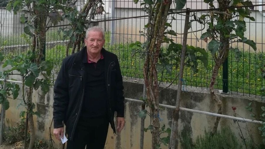 Najveća raštika u Hrvatskoj raste u vrtu Ante Roše Radalja?