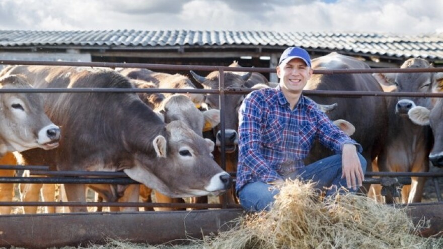 Koliko zapravo antibiotika dajemo stoci?