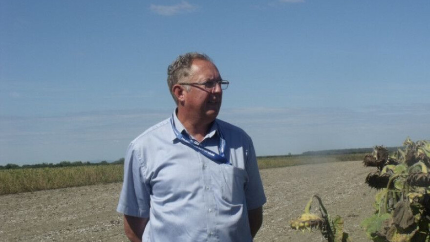 Hrvatska druga u EU po prinosima suncokreta!