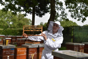 Pčelarstvo Antolčić - tradicija duga pet generacija
