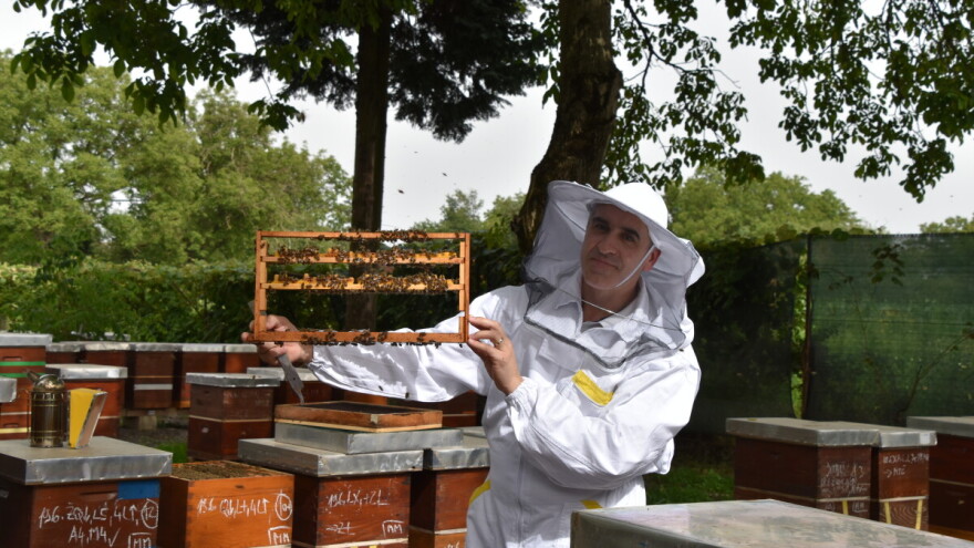 Pčelarstvo Antolčić - tradicija duga pet generacija