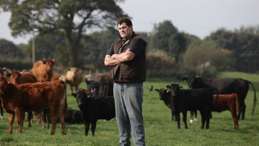 U Sloveniji goveda zaražena antraksom!