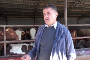 Antun Vrakić: Svu hranu za goveda proizvodimo sami, a država bi trebala više stimulirati uzgoj bikova