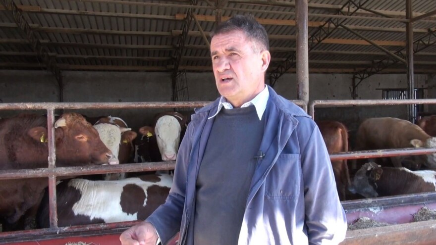 Antun Vrakić: Svu hranu za goveda proizvodimo sami, a država bi trebala više stimulirati uzgoj bikova