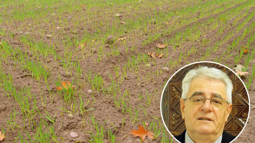 Ništa od studeni u studenom?