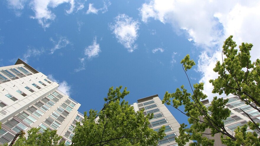 Mobilne šume mogle bi da pomognu gradovima u suočavanju sa klimatskim promenama