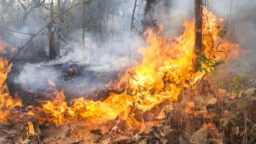 Apel! Ne paliti vatru u prirodi!