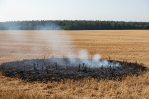 Apel! Ne paliti vatru u prirodi!