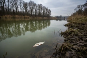 Apel Zelenih Srbije za očuvanje reka i ribe