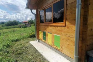 API komore - sve što pčela unese u košnicu, udišemo direktno u pluća