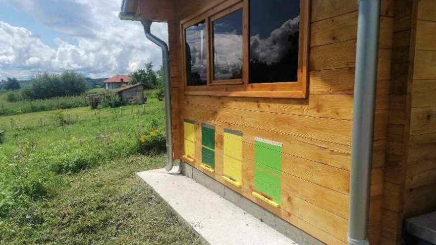 API komore - sve što pčela unese u košnicu, udišemo direktno u pluća