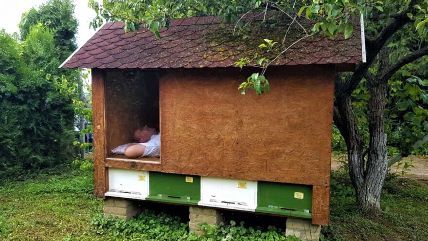 Pčelinja klinika sa apikomorama i u okviru turističke ponude