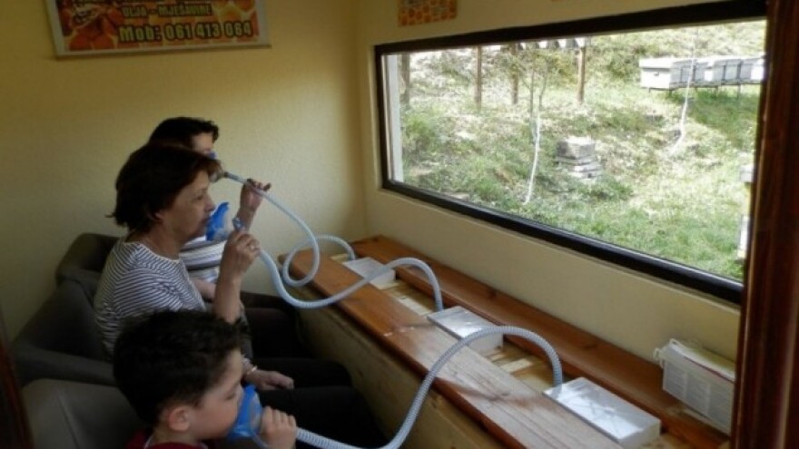 Sve što dolazi iz košnice je lijek - pa i zrak