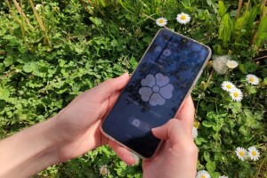 Isprobali smo besplatnu mobilnu aplikaciju za identifikaciju biljaka