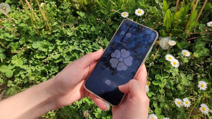 Isprobali smo besplatnu mobilnu aplikaciju za identifikaciju biljaka