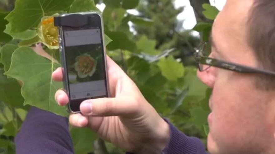 Aplikacija za utvrđivanje biljne vrste