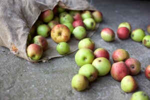 Produžen rok za ostvarivanje poreznih olakšica na doniranu hranu