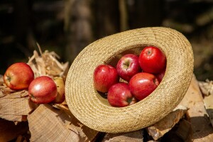 Fruit Logistica 2020.- jedan od najvećih poljoprivrednih sajmova na svijetu