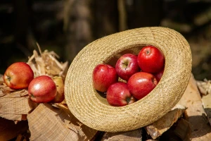 Fruit Logistica 2020.- jedan od najvećih poljoprivrednih sajmova na svetu