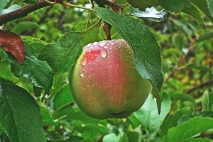 Izdan žuti alarm - stižu pljuskovi i grmljavina