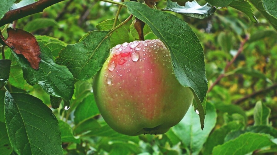 Izdan žuti alarm - stižu pljuskovi i grmljavina