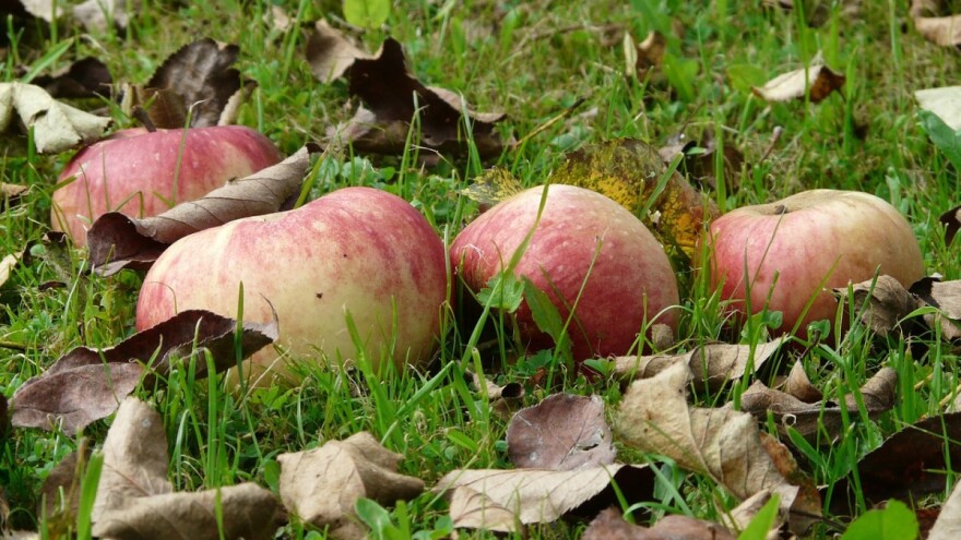 Vlaović: Ako se može ulagati u brodogradilišta, može se i otkupiti proizvode hrvatskih poljoprivrednika
