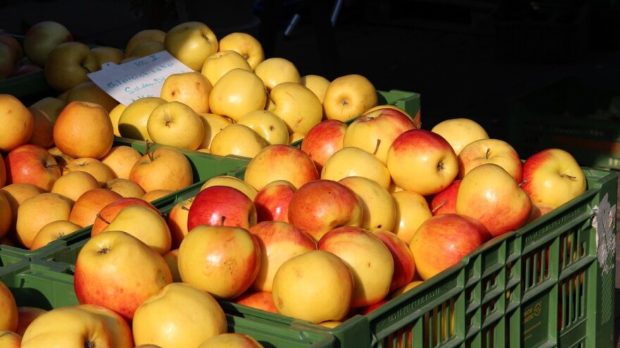Izvoz jabuke bilježi pad, a smrznute maline rast