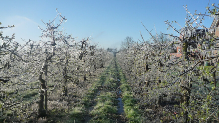 Sufinanciranje premija osiguranja proizvođačima