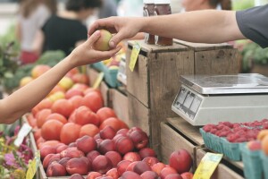 Nacrt prijedloga zakona o izmjeni Zakona o OPG