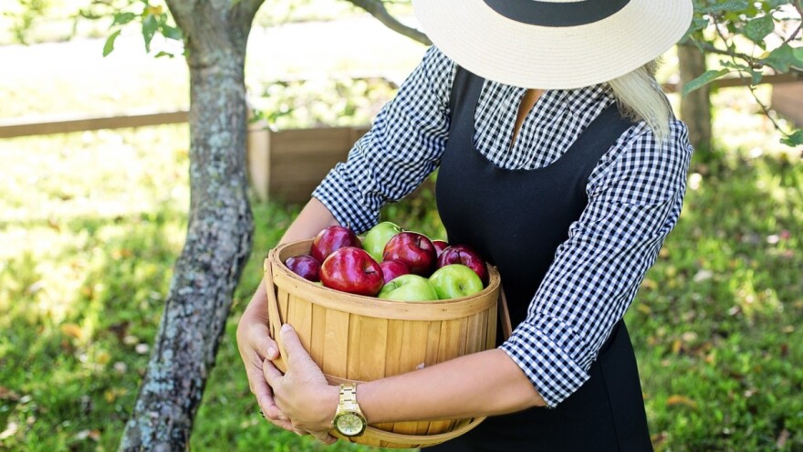 Dvadeseti, jubilarni Dani voća Koprivničko-križevačke županije