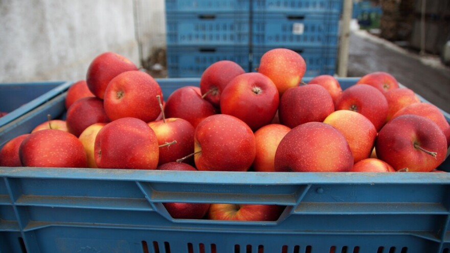 Smanjili smo izvoz poljoprivrednih proizvoda za 5%, a povećali uvoz za više od 3%