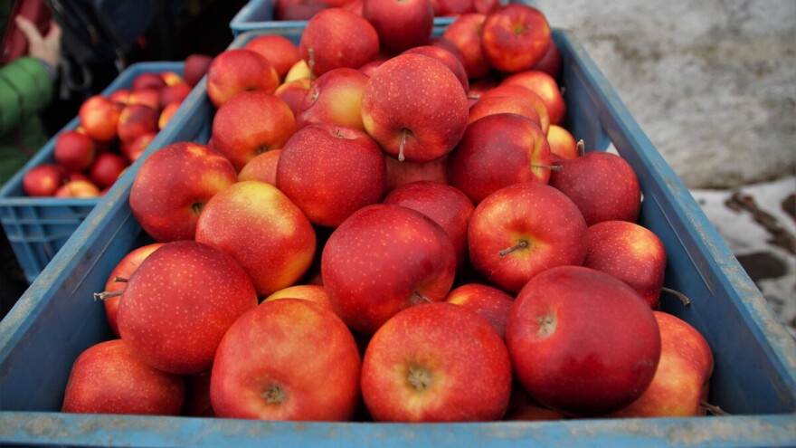 Pozvane škole i dobavljači za sudjelovanje u Školskoj shemi